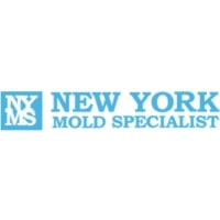 New York Mold Specialist
